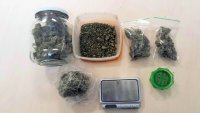 pół kilograma narkotyków oraz dwie plantacje marihuany