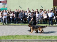 Pokaz tresury psów służbowych na szczecińskiej uczelni wyższej