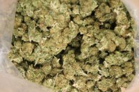 Policjanci zabezpieczyli ponad  5,5 kilograma marihuany