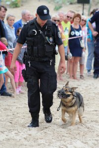 Policjant z psem na plaży