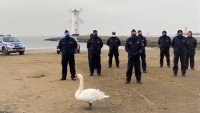 policjanci przebiegli  kilometr plaży, aby zebrać pieniądze na leczenie chorej kobiety