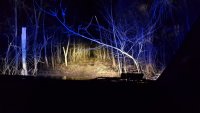 radiowóz terenowy w terenie leśnym w nocy