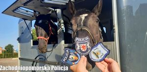 policyjne patrole konne z Polski