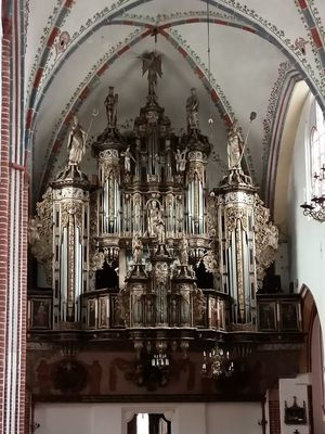 katedra św. Jana Chrzciciela w Kamieniu Pomorskim - organy