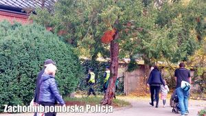 policyjne działania &quot; Wszystkich Świętych&quot;