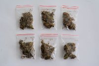Narkotyki zabezpieczone przez kołobrzeskich Policjantów