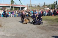 Trzech policjantów z zatrzymanym i policyjny pies