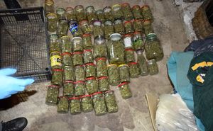 48-latek uprawiał konopie indyjskie, zabezpieczono u niego też ponad kilogram marihuany