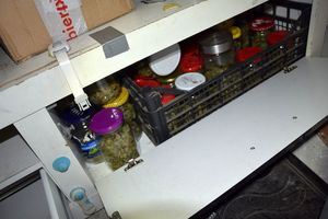 48-latek uprawiał konopie indyjskie, zabezpieczono u niego też ponad kilogram marihuany