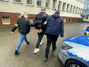 Zatrzymani seryjni oszuści internetowi