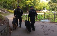 Policyjne patrole z psami służbowymi