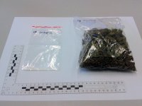 Policjanci zabezpieczyli blisko 100 gramów marihuany