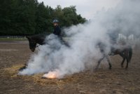 Golden Dream i Kontusz już wkrótce na szczecińskich ulicach